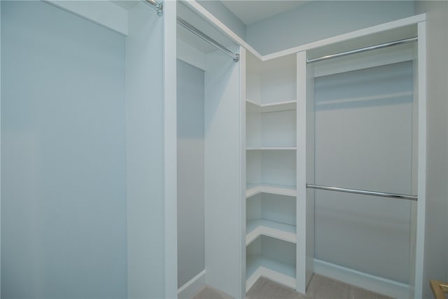 walk in closet with light colored carpet