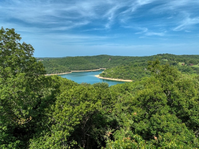 Lakeview Dr, Eureka Springs AR, 72631 land for sale