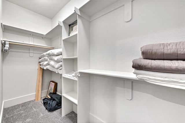 spacious closet featuring carpet floors