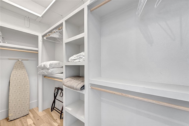 spacious closet featuring light hardwood / wood-style flooring