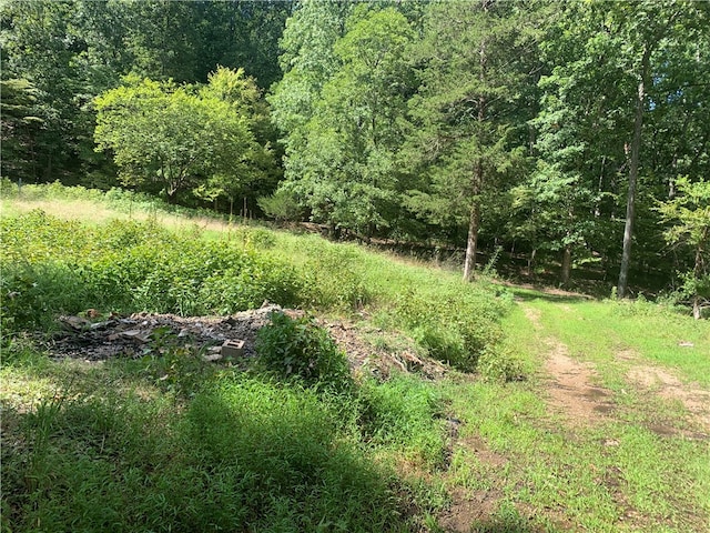 21580 Indian Creek Dr, Garfield, AR 72732 - photo 16