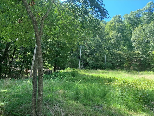 21580 Indian Creek Dr, Garfield, AR 72732 - photo 4