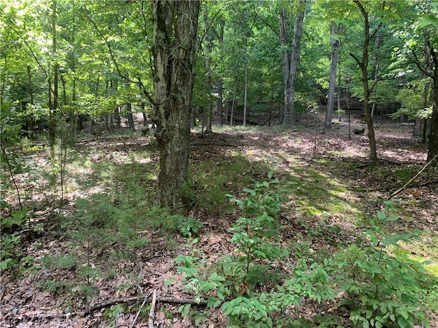21580 Indian Creek Dr, Garfield, AR 72732 - photo 13