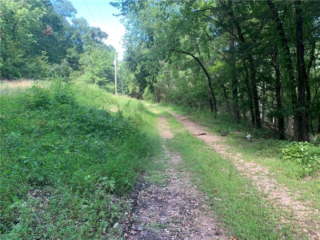 21580 Indian Creek Dr, Garfield, AR 72732 - photo 7