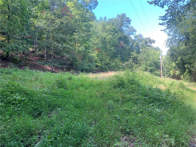 21580 Indian Creek Dr, Garfield, AR 72732 - photo 17