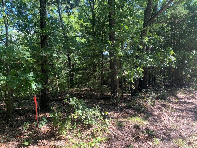 21580 Indian Creek Dr, Garfield, AR 72732 - photo 14