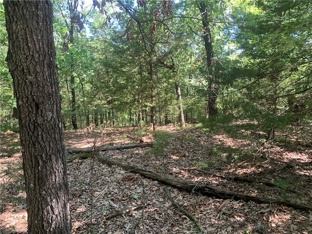 21580 Indian Creek Dr, Garfield, AR 72732 - photo 12