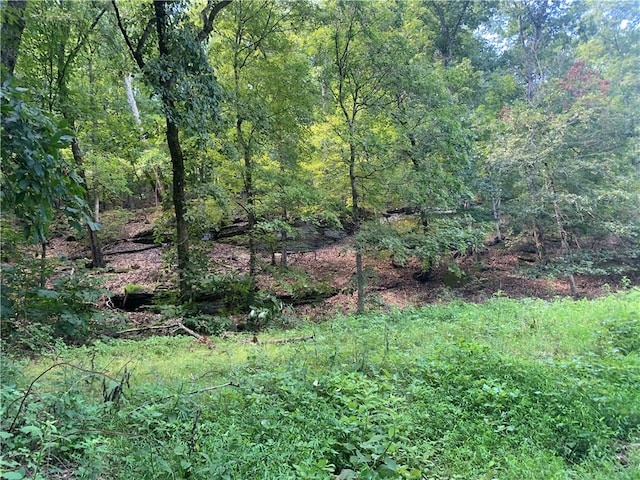 21580 Indian Creek Dr, Garfield, AR 72732 - photo 15