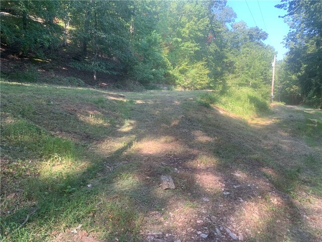 21580 Indian Creek Dr, Garfield, AR 72732 - photo 8