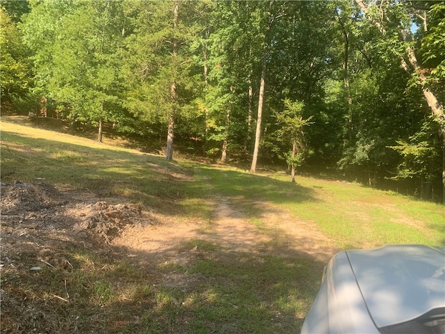 21580 Indian Creek Dr, Garfield, AR 72732 - photo 11
