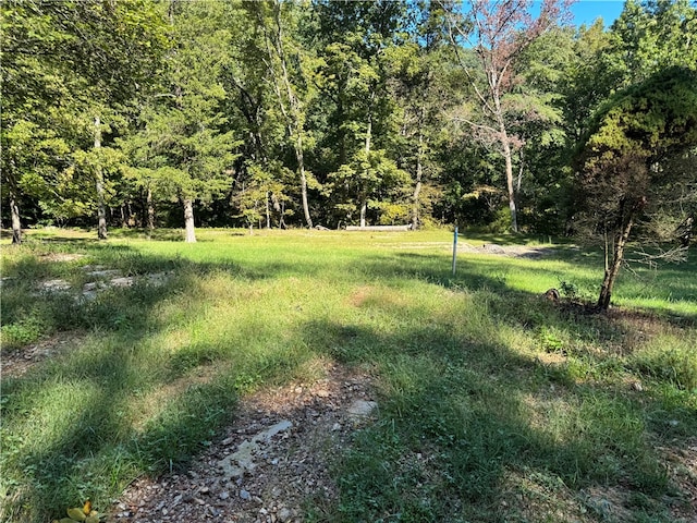 21580 Indian Creek Dr, Garfield, AR 72732 - photo 18