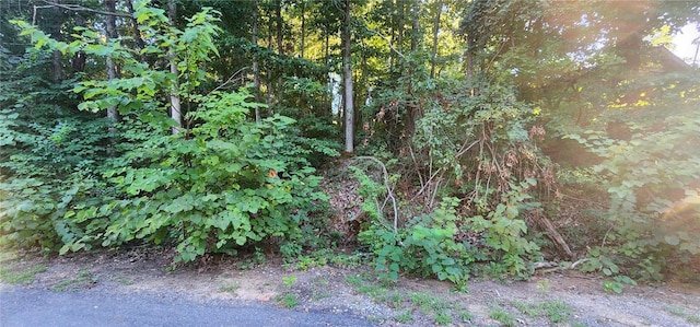 Listing photo 2 for LOT15 N Heanor Ln, Bella Vista AR 72714