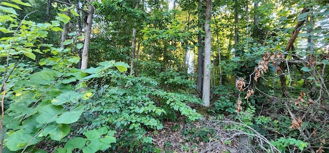 Listing photo 3 for LOT15 N Heanor Ln, Bella Vista AR 72714