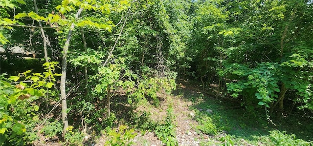 Listing photo 3 for LOT9 Stretton Ln, Bella Vista AR 72714