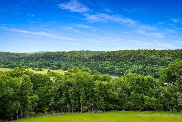 property view of mountains with a water view