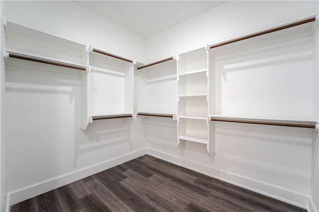 walk in closet featuring dark hardwood / wood-style floors