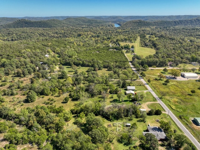 view of bird's eye view