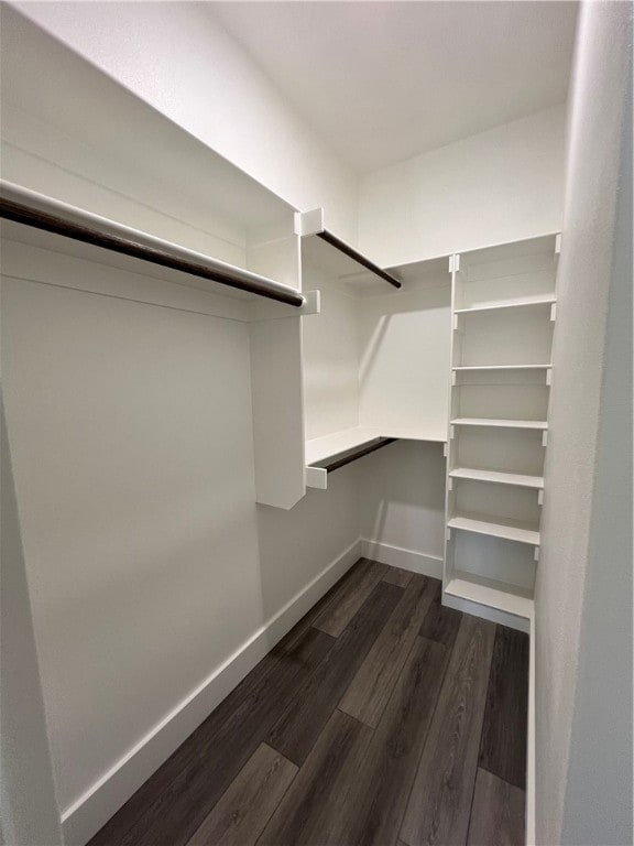 walk in closet featuring dark hardwood / wood-style floors