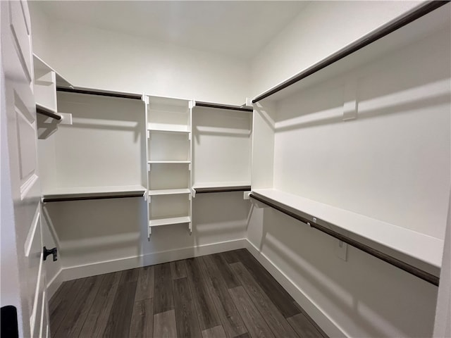 spacious closet featuring dark wood-type flooring