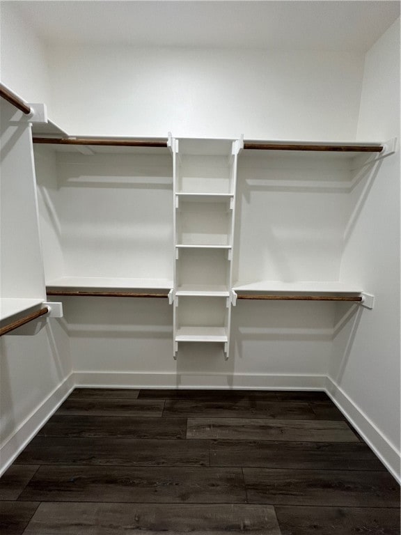 walk in closet with dark hardwood / wood-style flooring