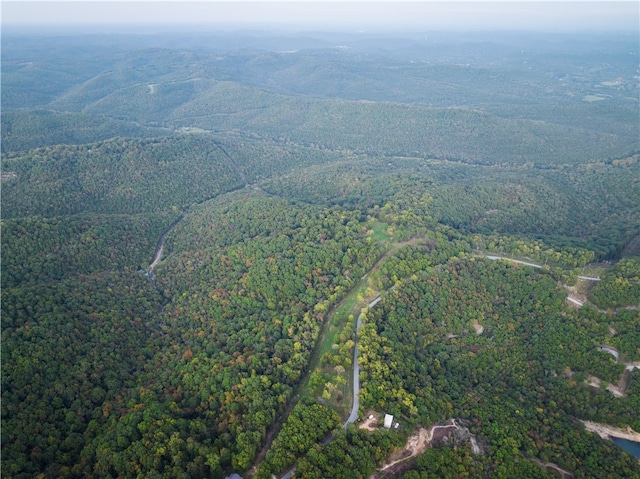 Dam Site Rd, Garfield, AR 72732 - photo 12