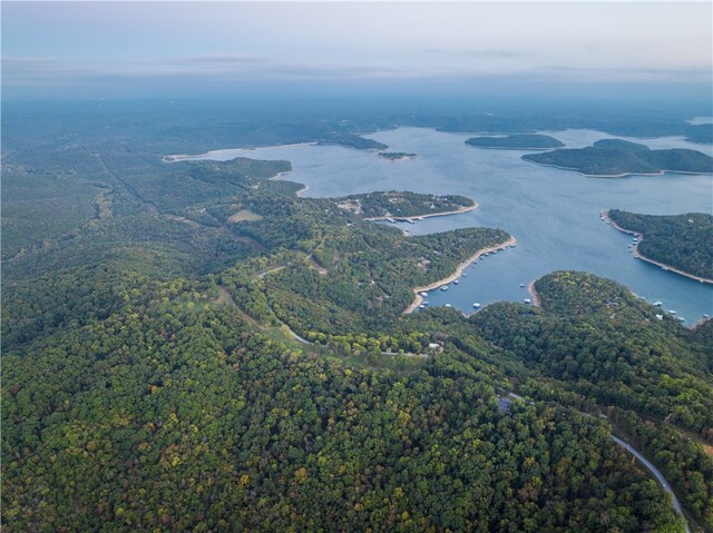 Dam Site Rd, Garfield, AR 72732 - photo 13