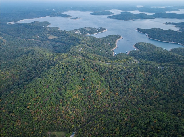 Dam Site Rd, Garfield, AR 72732 - photo 14