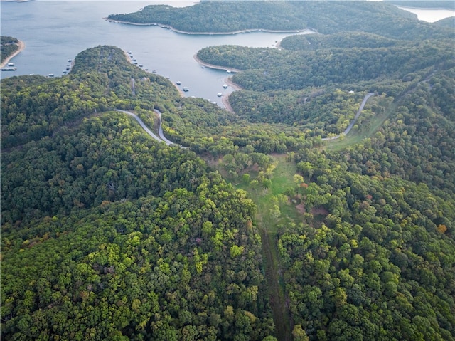 Dam Site Rd, Garfield, AR 72732 - photo 15