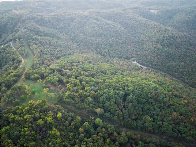 Dam Site Rd, Garfield, AR 72732 - photo 16