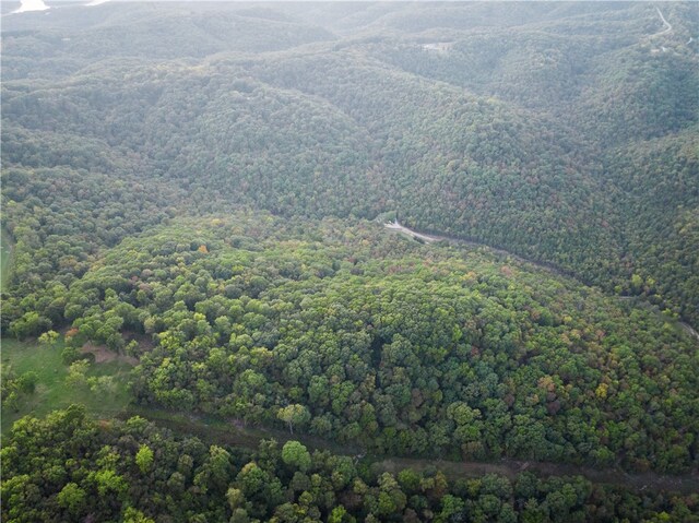 Dam Site Rd, Garfield, AR 72732 - photo 17