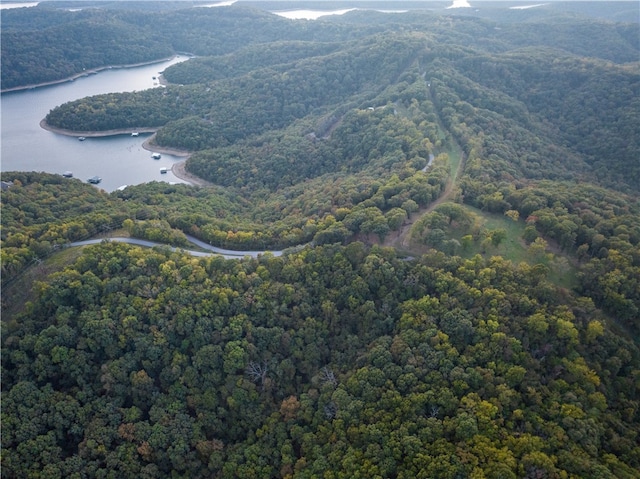 Dam Site Rd, Garfield, AR 72732 - photo 18