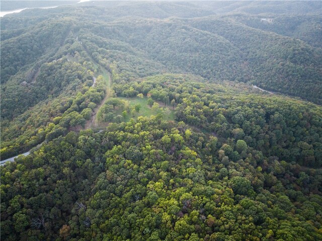 Dam Site Rd, Garfield, AR 72732 - photo 19