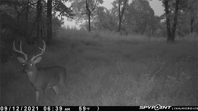 Dam Site Rd, Garfield, AR 72732 - photo 22
