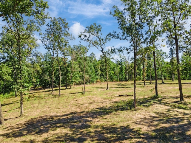 Dam Site Rd, Garfield, AR 72732 - photo 23