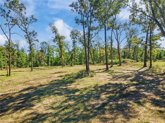 Dam Site Rd, Garfield, AR 72732 - photo 24