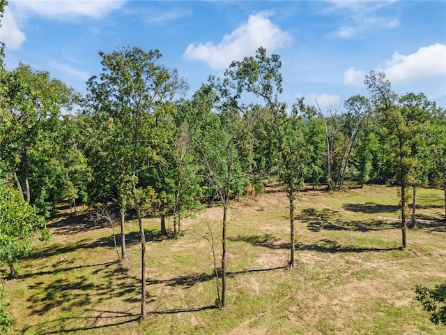 Dam Site Rd, Garfield, AR 72732 - photo 25