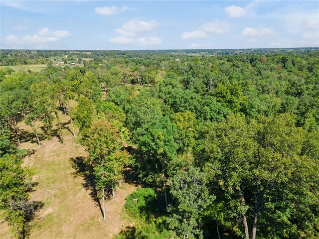 Dam Site Rd, Garfield, AR 72732 - photo 27