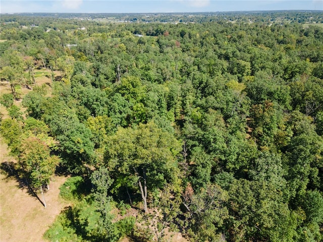 Dam Site Rd, Garfield, AR 72732 - photo 28