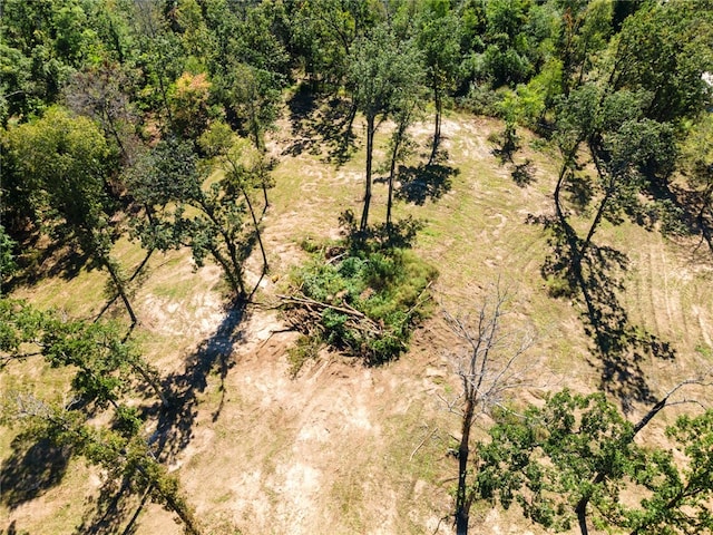 Dam Site Rd, Garfield, AR 72732 - photo 29