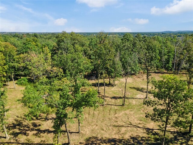 Dam Site Rd, Garfield, AR 72732 - photo 31