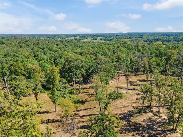 Dam Site Rd, Garfield, AR 72732 - photo 33