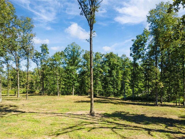 Dam Site Rd, Garfield, AR 72732 - photo 34