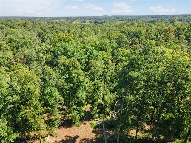 Dam Site Rd, Garfield, AR 72732 - photo 36