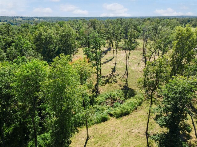 Dam Site Rd, Garfield, AR 72732 - photo 37