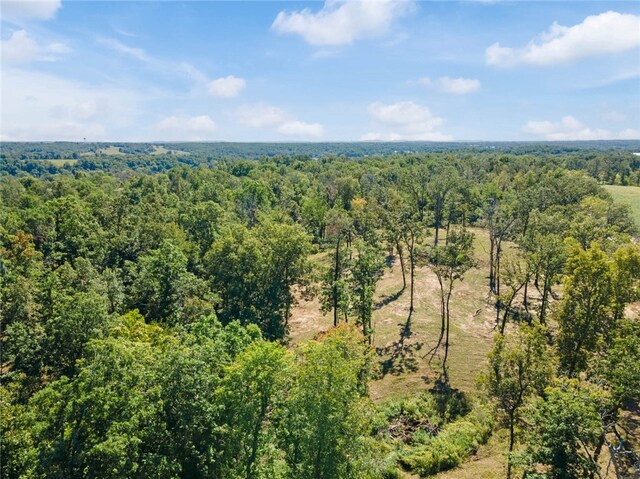 Dam Site Rd, Garfield, AR 72732 - photo 39