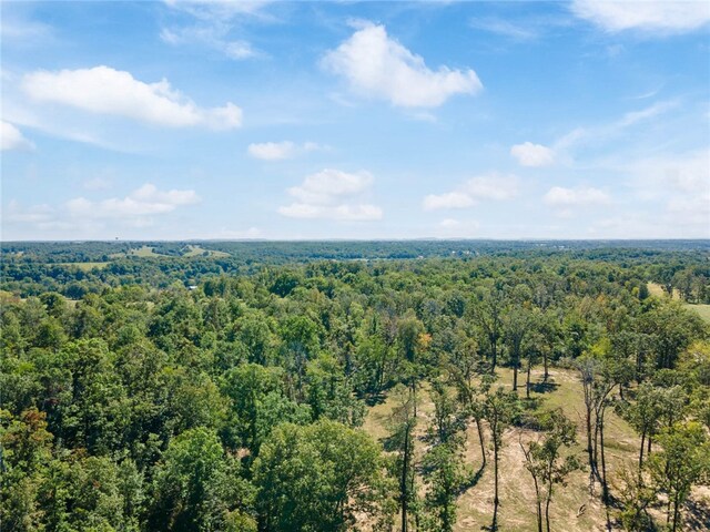 Dam Site Rd, Garfield, AR 72732 - photo 41