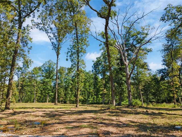 Dam Site Rd, Garfield, AR 72732 - photo 42