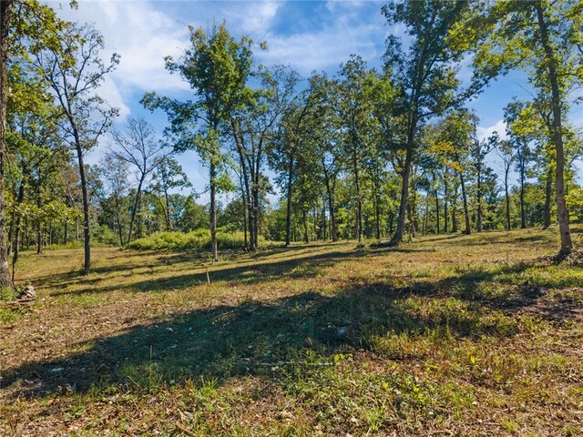 Dam Site Rd, Garfield, AR 72732 - photo 44