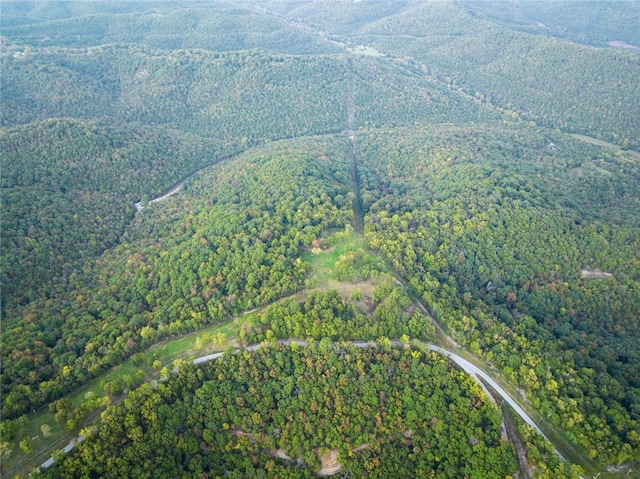 Dam Site Rd, Garfield, AR 72732 - photo 45