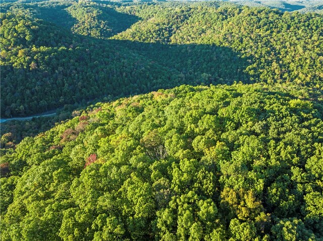 Dam Site Rd, Garfield, AR 72732 - photo 6